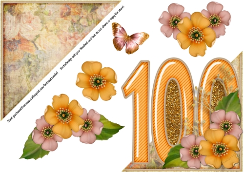 Add On for Vintage Easel 100th Birthday Card Kit 1178