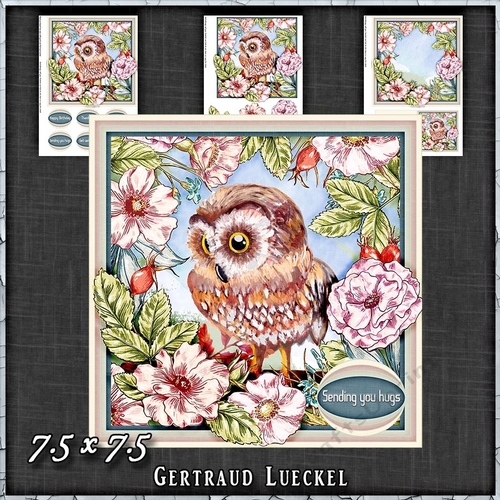 Vintage Shabby Owl Hugs 1475