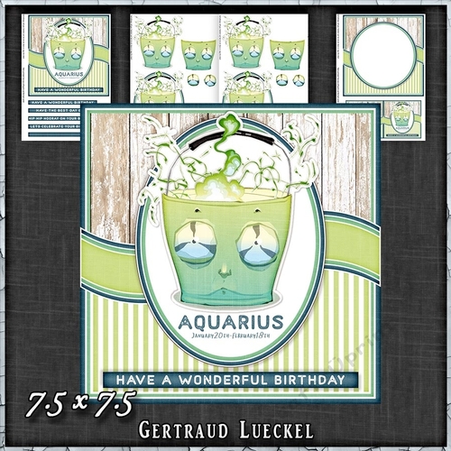 Zodiac Funny Aquarius Card Kit 1491