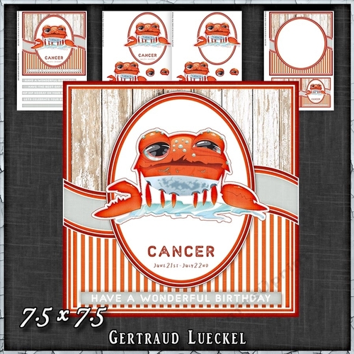 Zodiac Funny Cancer Card Kit 1491
