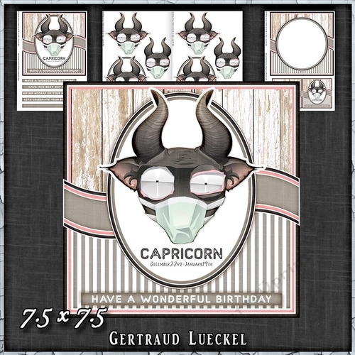 Zodiac Funny Capricorn Card Kit 1491