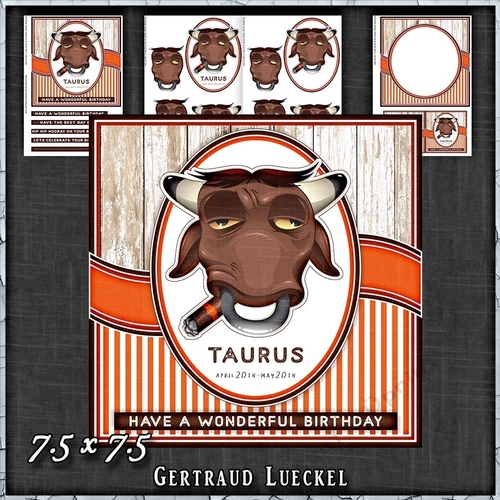 Zodiac Funny Taurus Card Kit 1491