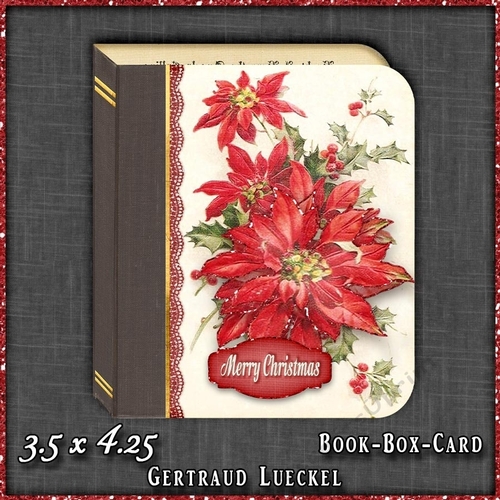 Christmas Book Money Giftcard Box 1517