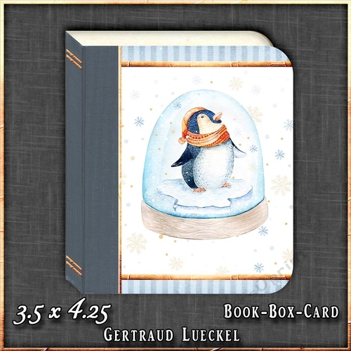 Christmas Book Money Giftcard Box 1520