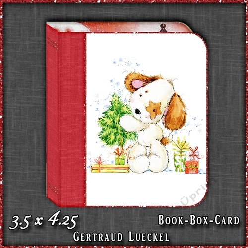 Christmas Book Money Giftcard Box 1522