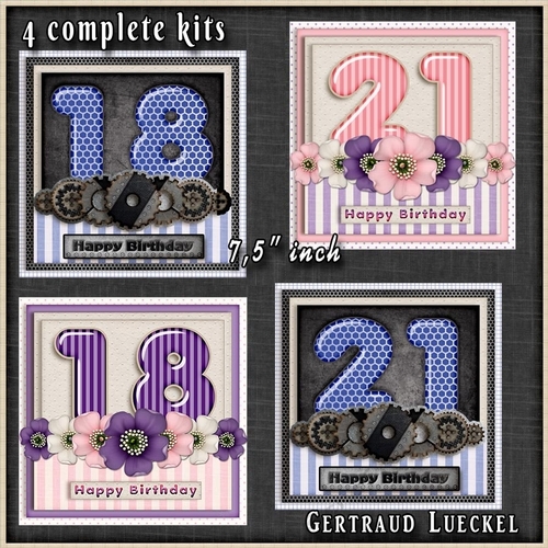 Addon Birthday Bumperkit 1293 18 & 21 male female 