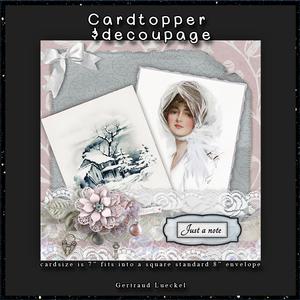 Winter Love Cardtopper with Inlet 118