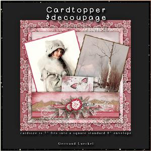 Winter Romance Cardtopper with Inlet 125