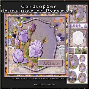 Walk in the Garden of Roses Cardtopper with Inlet 128