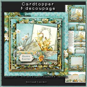 Spring Flowers Cardtopper with Inlet 160