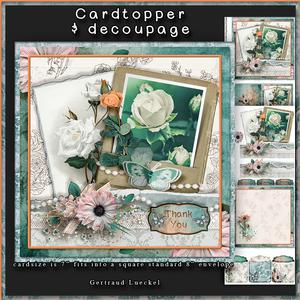 White Rose Cardtopper with Inlet