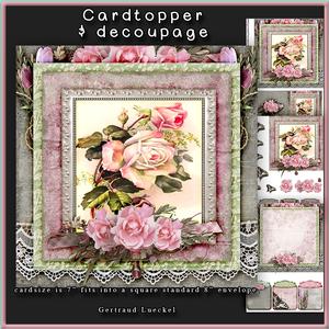 So Lacy Cardtopper with Inlet 167