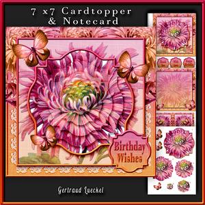 Cardtopper Aster Orange Pink 283