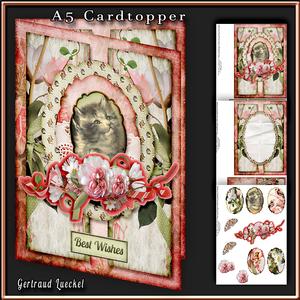 A5 Cardtopper a Little Kitty 336