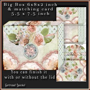 Big Pinchbox (bag) Soft Color Green Peach 102