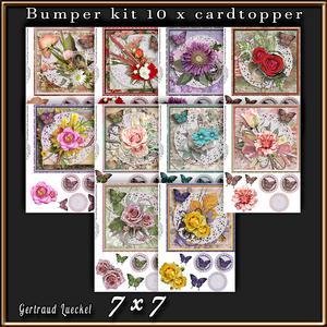 10 x Flowers and Paperdoily Cardtopper Bumper Kit 3