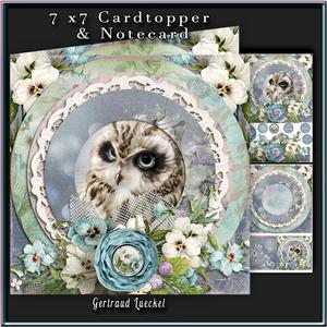 Cardtopper Owl 359