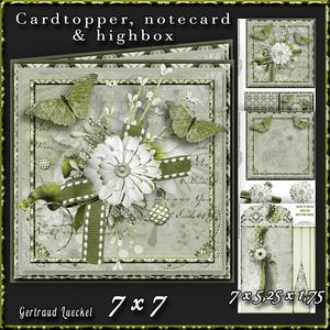Cardtopper with Large Highbox Green Flowers 375