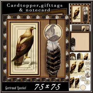 Cardtopper Eagle 417