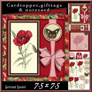 Cardtopper Poppy 419