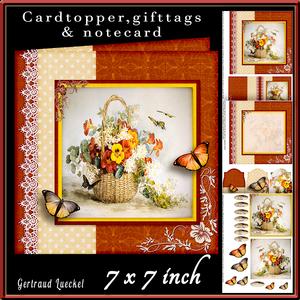 Cardtopper Red Pansy and White Aster 434
