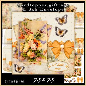 Cardtopper with Matching Envelope Poppy 600