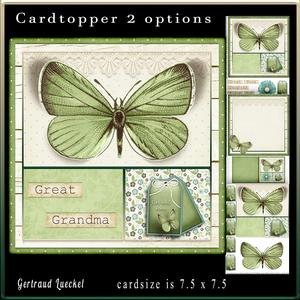 Cardtopper Butterly Themed Green 783