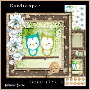 Cute Owls Topper 838