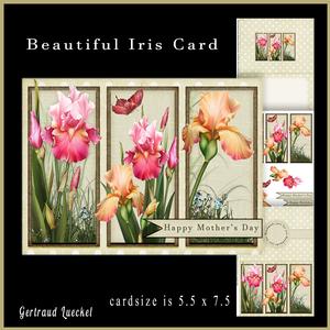 Beautiful Iris Card 852