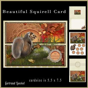 Beautiful Squirrell Card 861