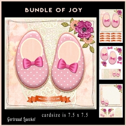 Bundle of joy cardtopper 880
