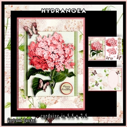 Hydrangea Cardtopper Minikit pink 882