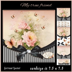 Vintage Flower Stripes and Butterflies 945