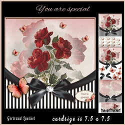 Vintage Flower Stripes and Butterflies 946