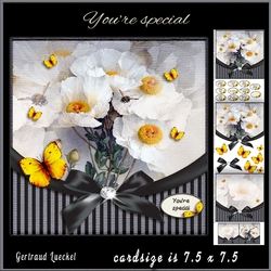 Vintage Flower Stripes and Butterflies 951