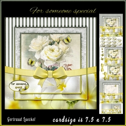 Vintage Flower Stripes and Butterflies 960