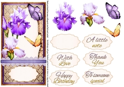Iris and Butterflies purple 964