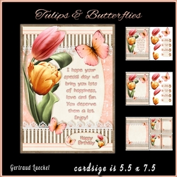 Tulips and Butterflies 967