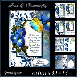 Iris and Butterfly 969