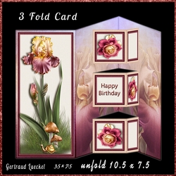 3 Fold Card Kit 972