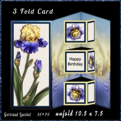 3 Fold Card Kit 973