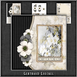 Vintage flowers and butterflies 1067