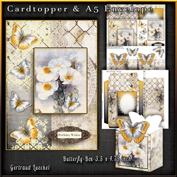 Cardtopper with matching envelope and box 1074
