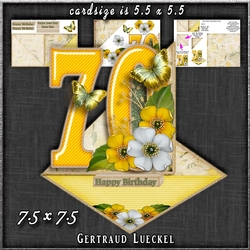 Vintage Easel 70th Birthday Card Kit 1181