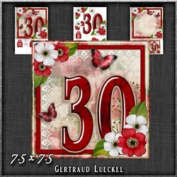Vintage Birthday 30th Card Topper Kit 1186