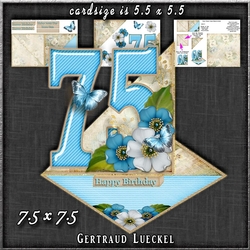 Vintage Easel 75th Birthday Card Kit 1180