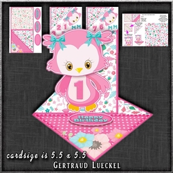 Cute Fancy Easel Pink Owl Birthday 1-9 1260