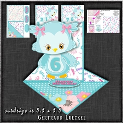 Cute Fancy Easel Turquoise Owl Birthday 1-9 1261