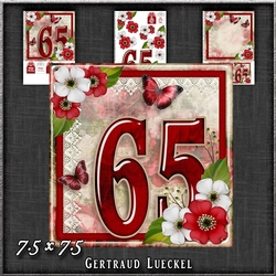 Vintage Birthday 65th Card Topper Kit 1186