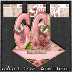 Vintage Easel 66th Birthday Card Kit 1178